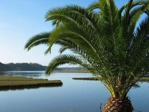 Moinho da Asneira - Arredores